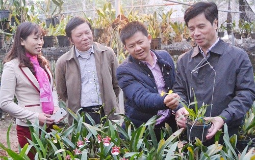 Kết quả giám sát của Thường trực HĐND huyện Phúc Thọ về việc lập, thẩm định, phê duyệt và quản lý dự án chuyển đổi cơ cấu cây trồng, vật nuôi trong nội bộ đất nông nghiệp